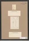 Diatomeae indet. Zeichnungen Sammlung Grunow Nr. 3347 (NHMW-BOT-W0370856)